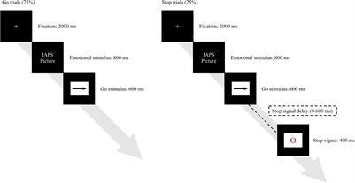 Acute Exercise Improves Inhibitory Control but Not Error Detection in Male Violent Perpetrators: An ERPs Study With the Emotional Stop Signal Task